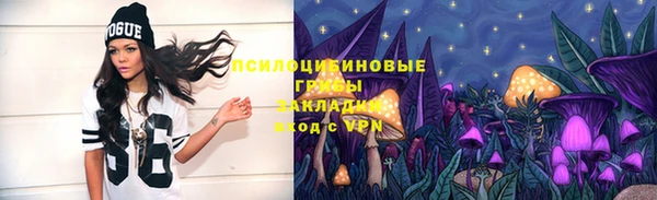 первитин Богородск